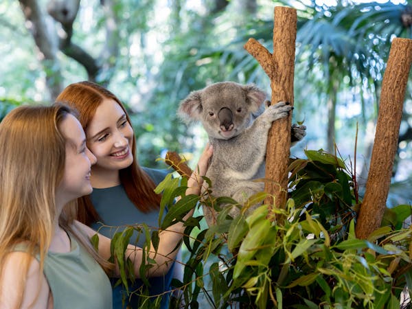 Brisbane Tourist Attractions
